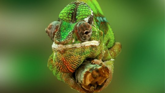 25 perguntas sobre biologia (e suas respostas) 1