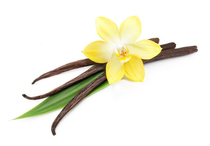 11 propriedades incríveis do Vanilla for Health 1