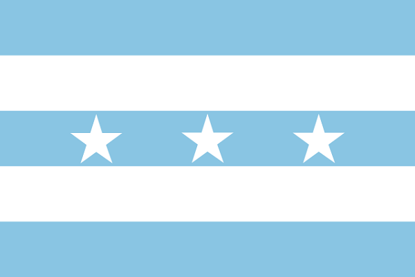 Bandeira do Equador: História e Significado 6