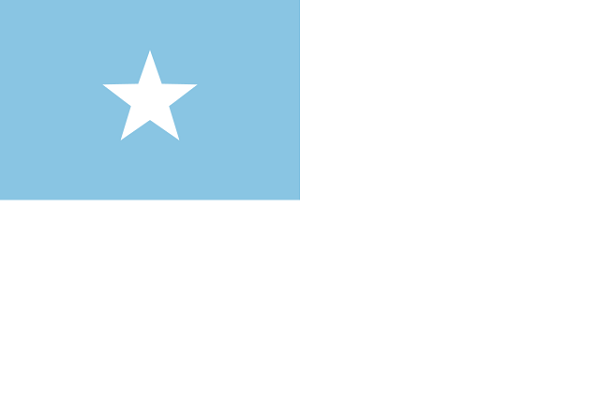 Bandeira do Equador: História e Significado 7