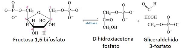 Separabilidade química: conceitos e exemplos 6