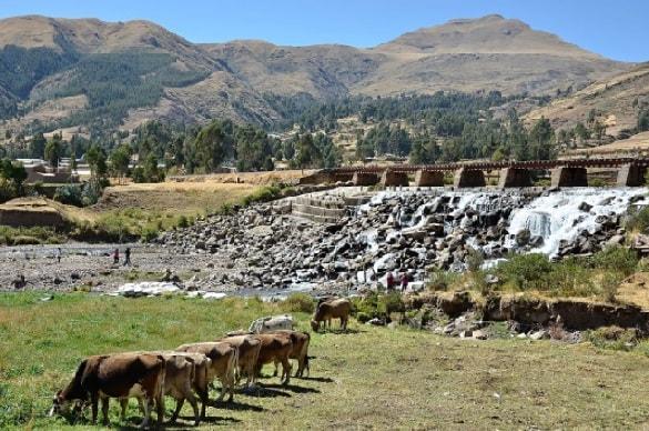 Região Suni: características, relevo, flora, fauna, clima 1