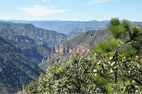 Serra Madre del Sur: localização, relevo, clima, flora 3