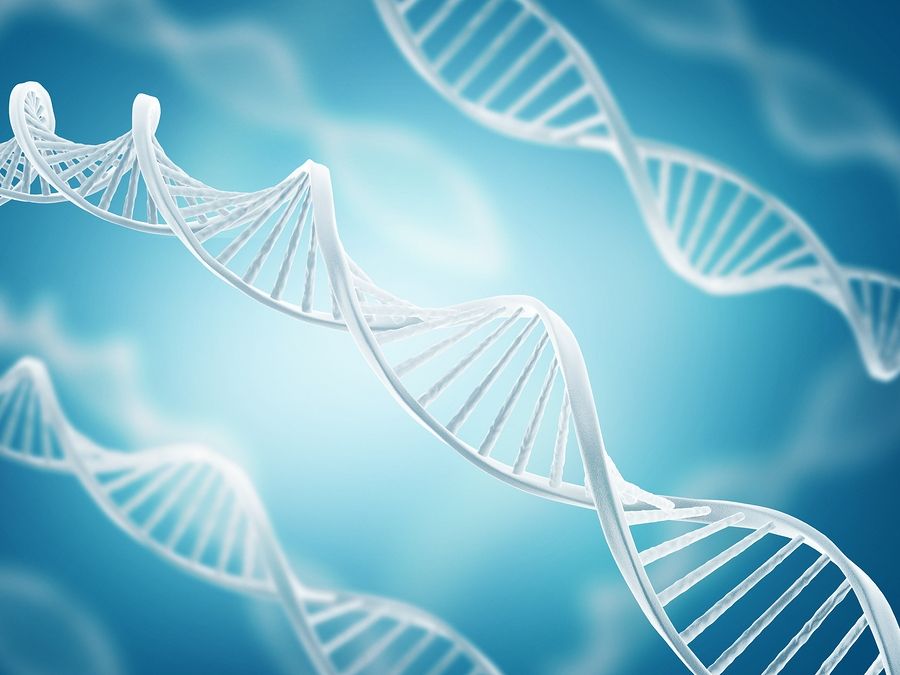 O que é a teoria cromossômica da herança? 1