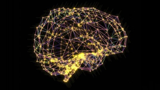 Os 8 tipos de distorções cognitivas 13