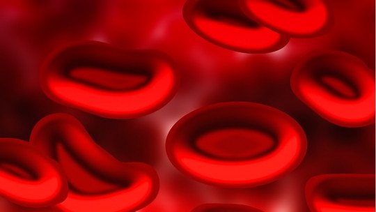 Tipos sanguíneos: características e composições 1