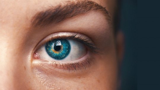 Os 5 tipos de talento intelectual (e suas características) 19