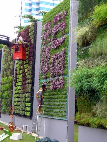 Para que serve um jardim vertical? 6 Usos 1