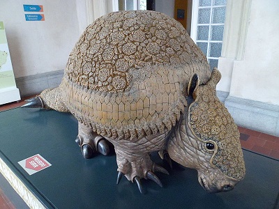 Glyptodon: características, habitat, alimentação, reprodução 1