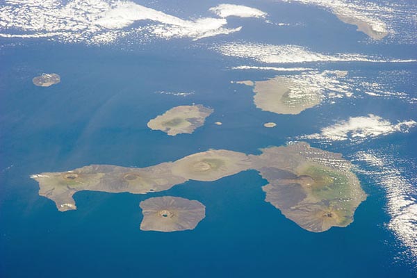 Flora e fauna das Ilhas Galápagos: principais espécies