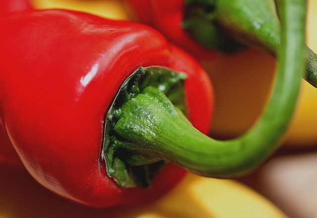 Capsicum: características, habitat, propriedades, espécies 1