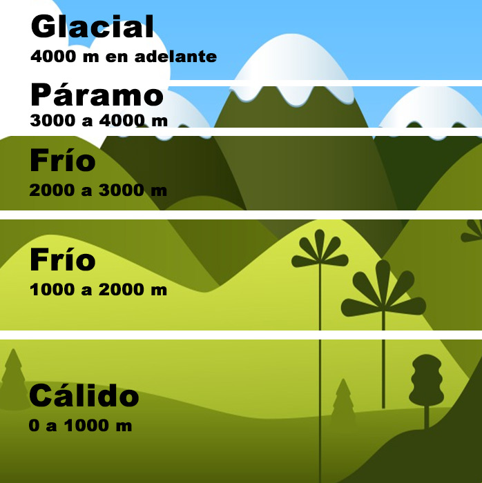 Pisos termais da Colômbia e suas características