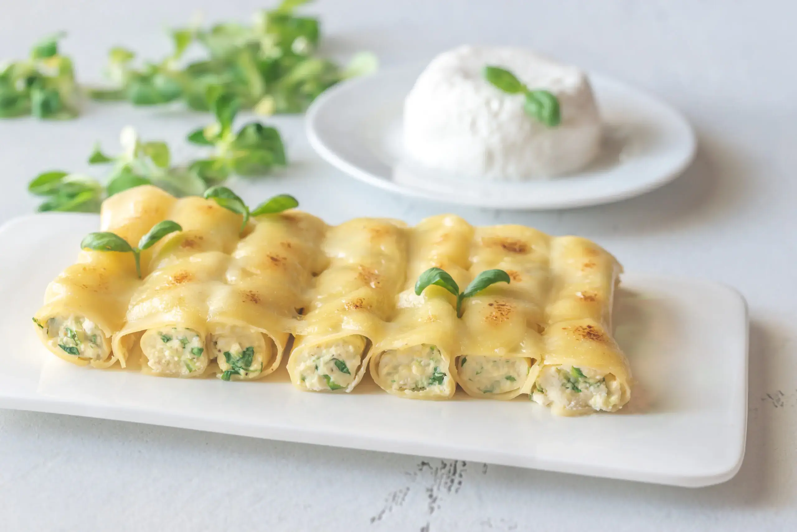 Consigli per preparare cannelloni