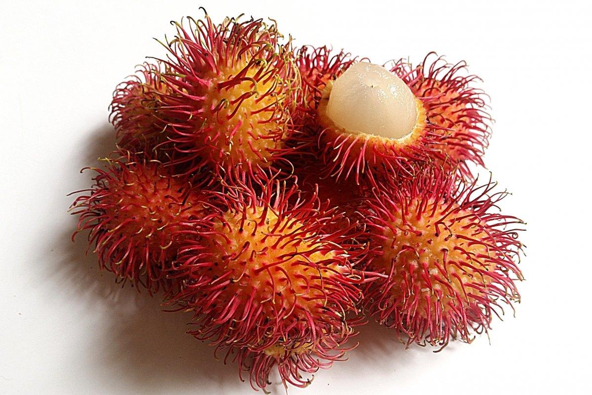 rambután fresco e proprietà