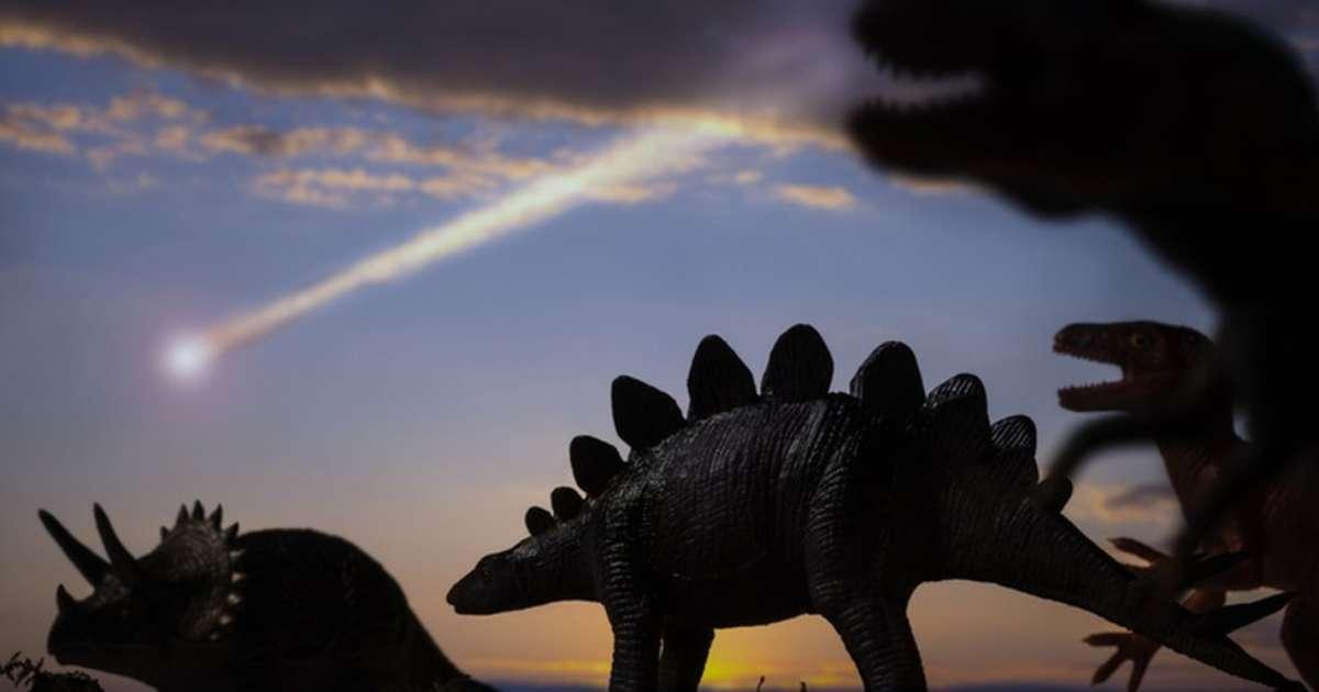 Estinzioni di massa e rischi globali