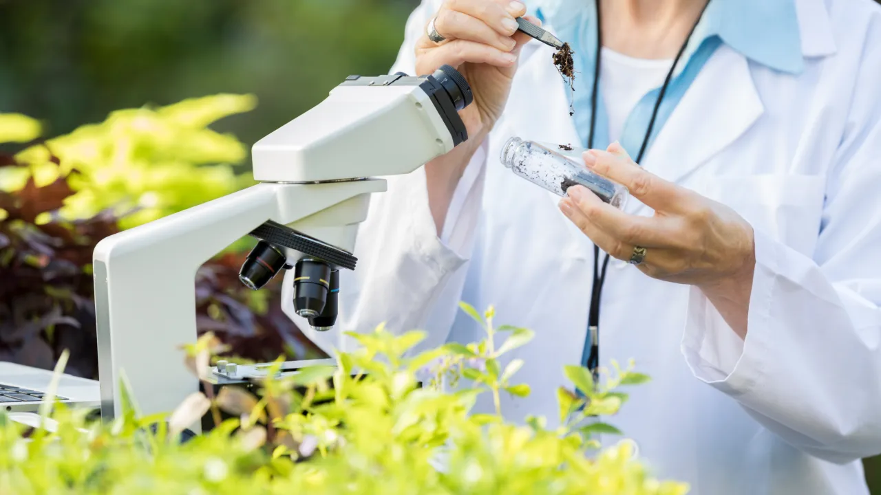 Cos'è la biotecnologia agricola