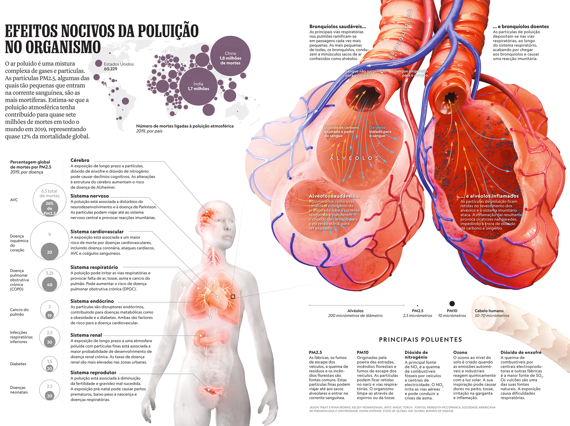 Immagine sull inquinamento e la salute umana