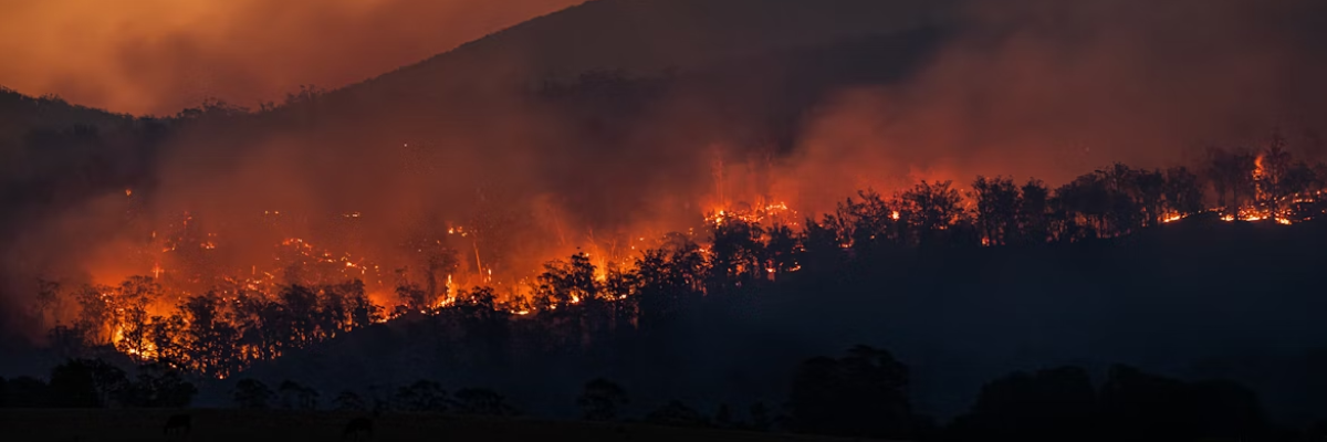 Três Tipos de Causas do Aquecimento Global