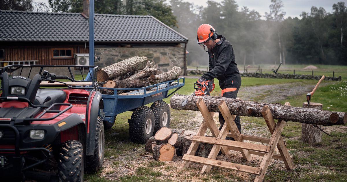 legna da ardere e riscaldamento domestico