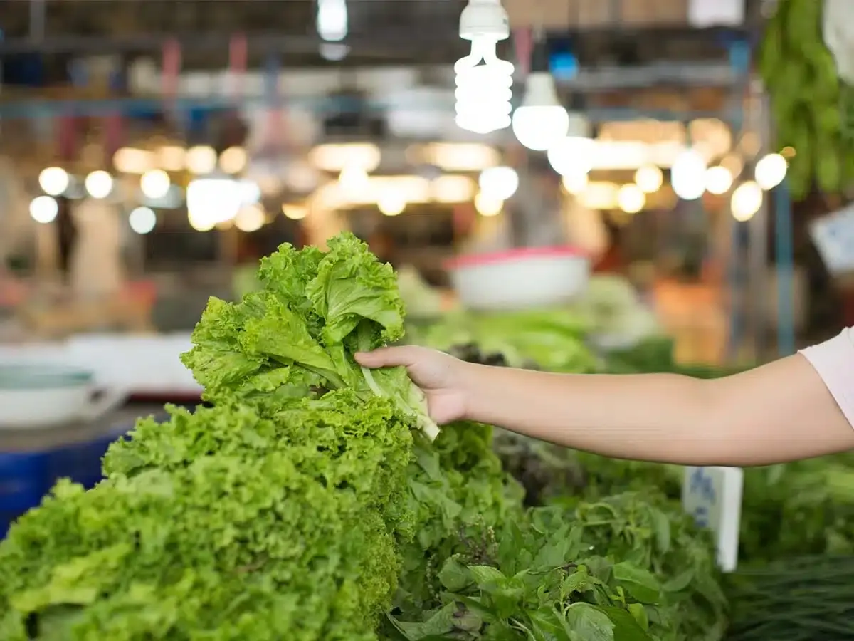 como armazenar frutas e verduras corretamente como armazenar frutas e verduras corretamente