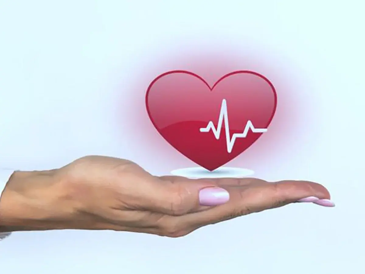 coração e mulher prevenção cardiovascular coração e mulher prevenção cardiovascular