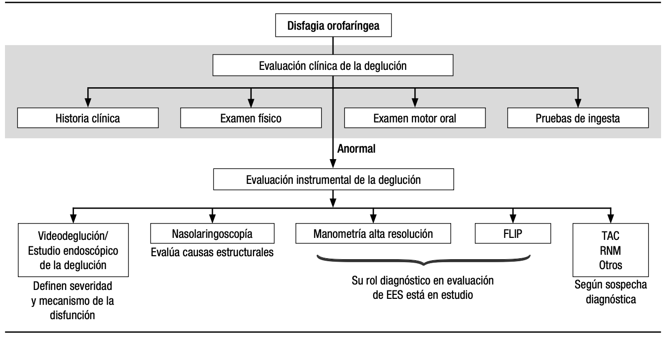 exames de deglutição