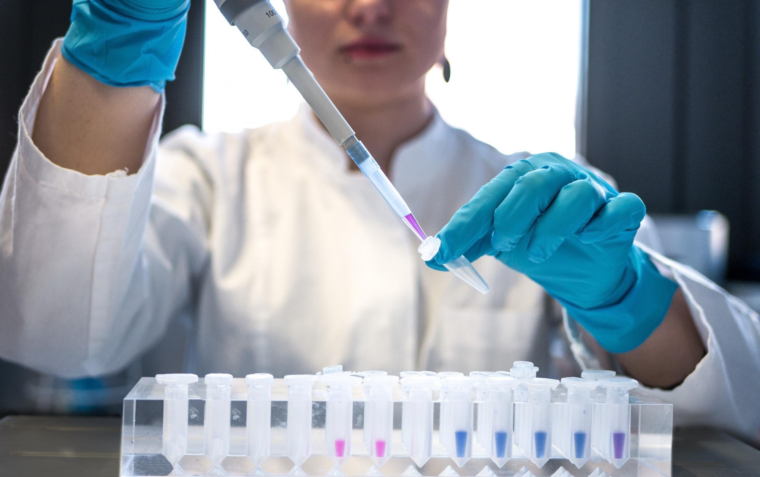 Biotecnologia agroalimentar