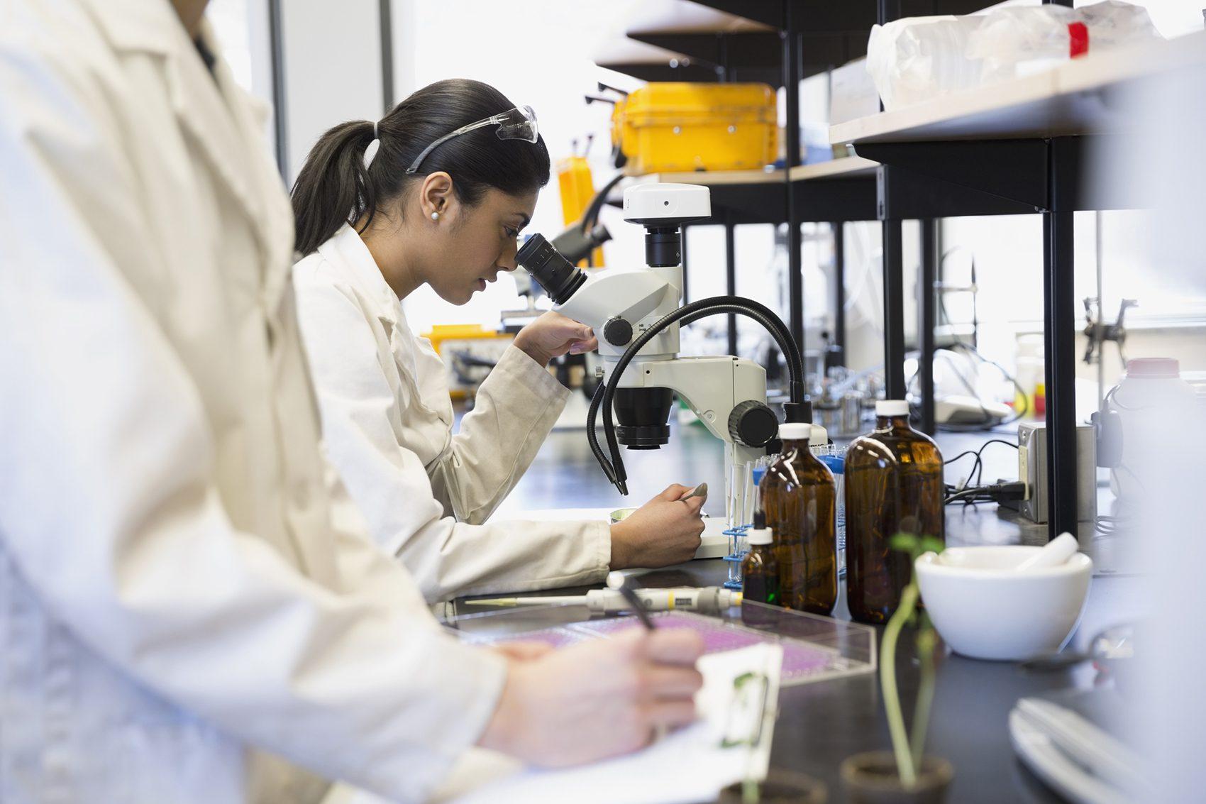 biotecnologia agroalimentar