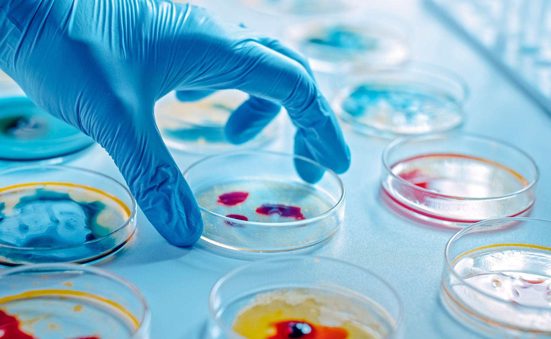 bioengenharia biotecnologia e biomedicina