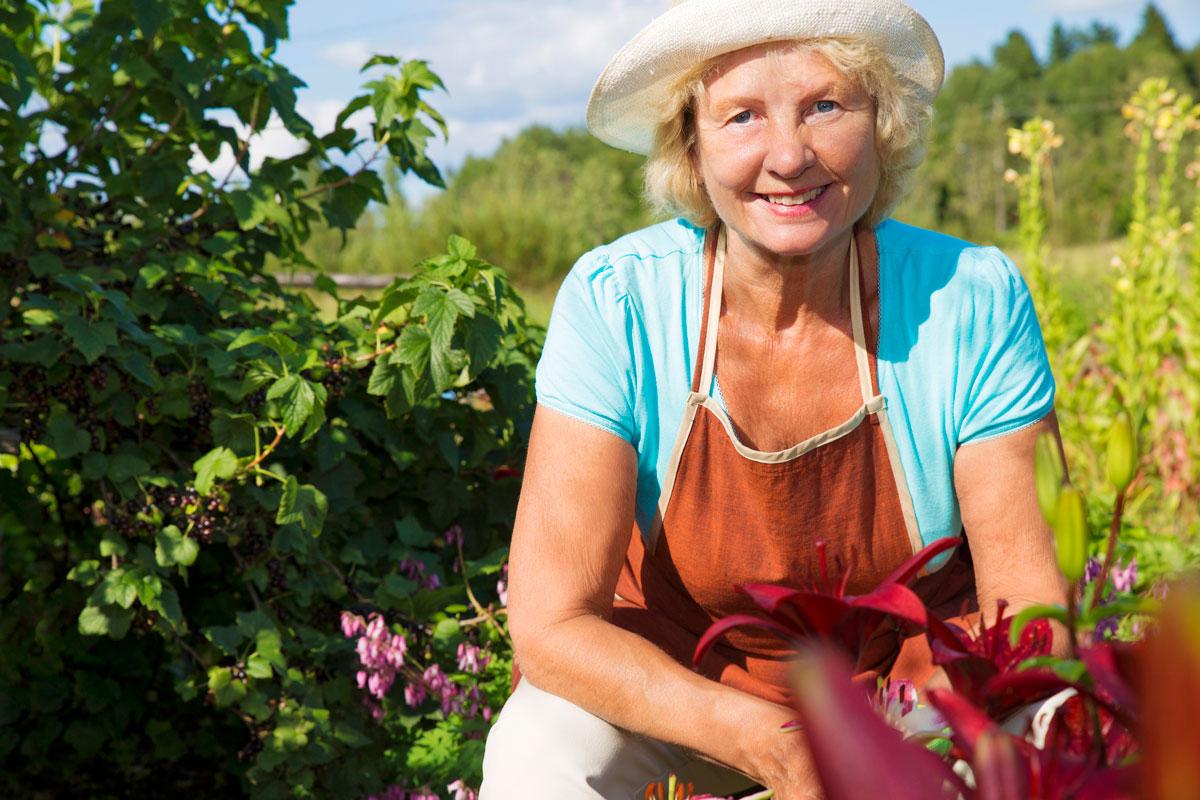 beneficios dos hobbies para adultos