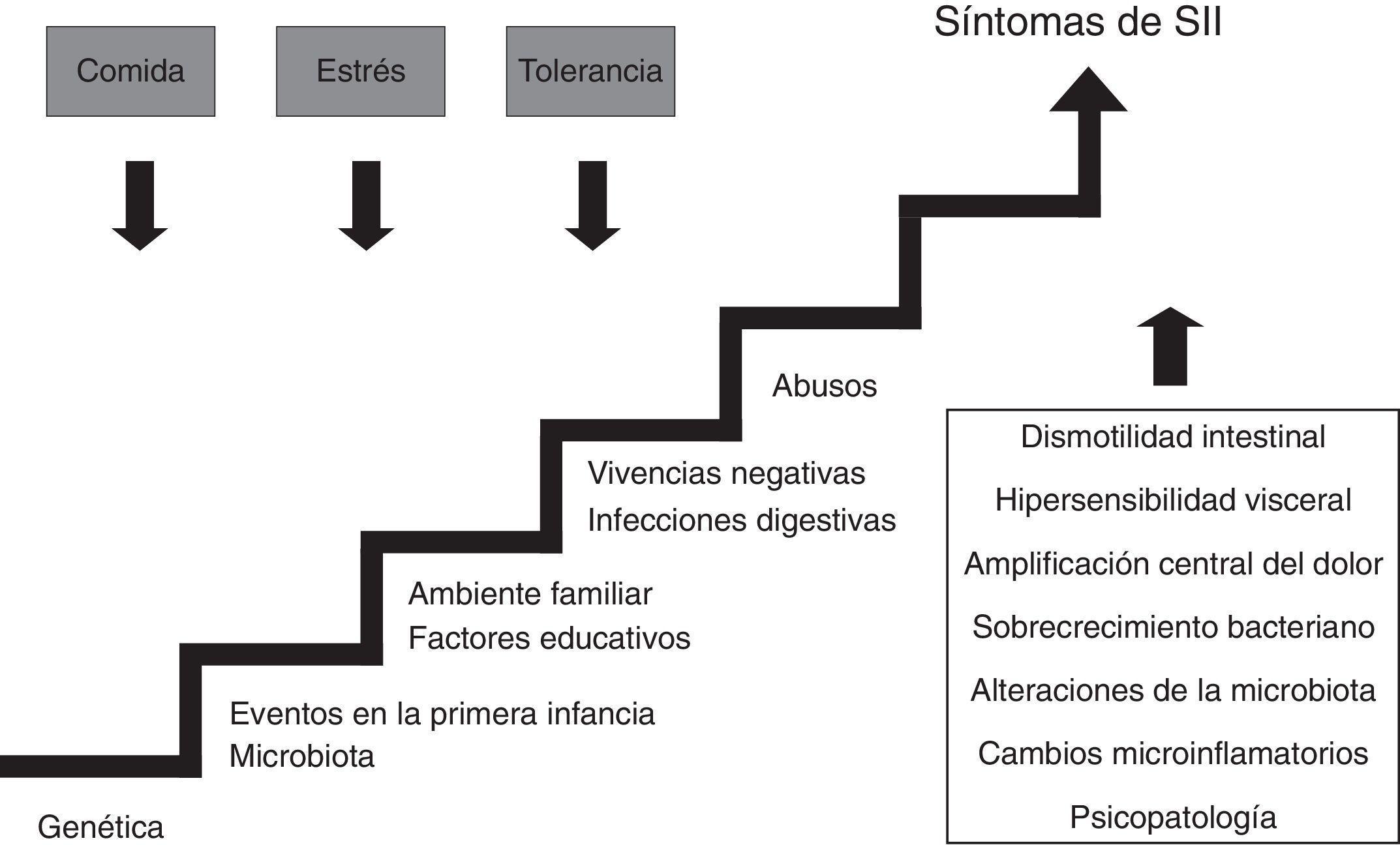 Nutrição para intestino irritável