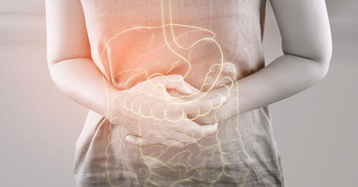 Gastroenterologia