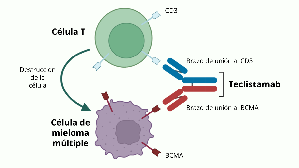 Tratamento de mieloma