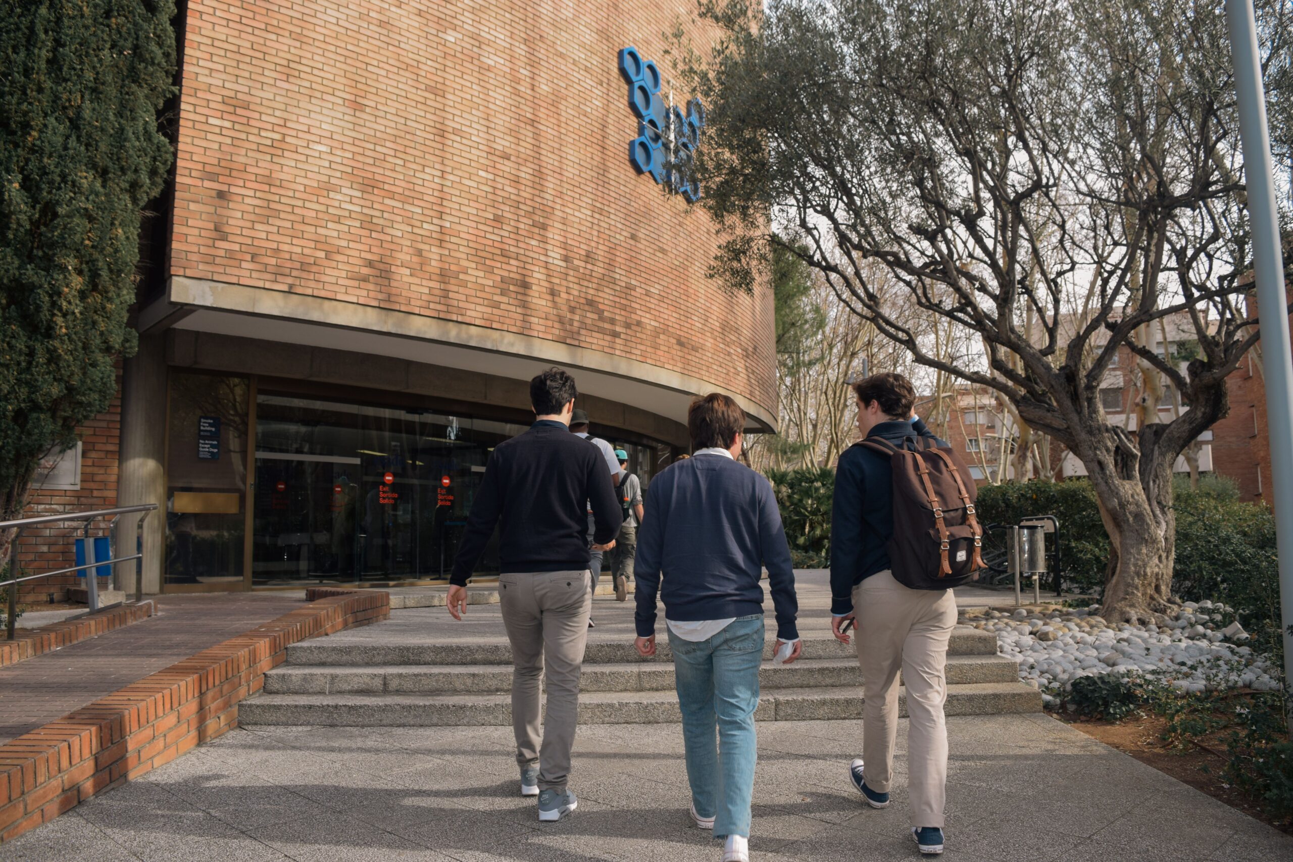 Internacionalización de la universidad española