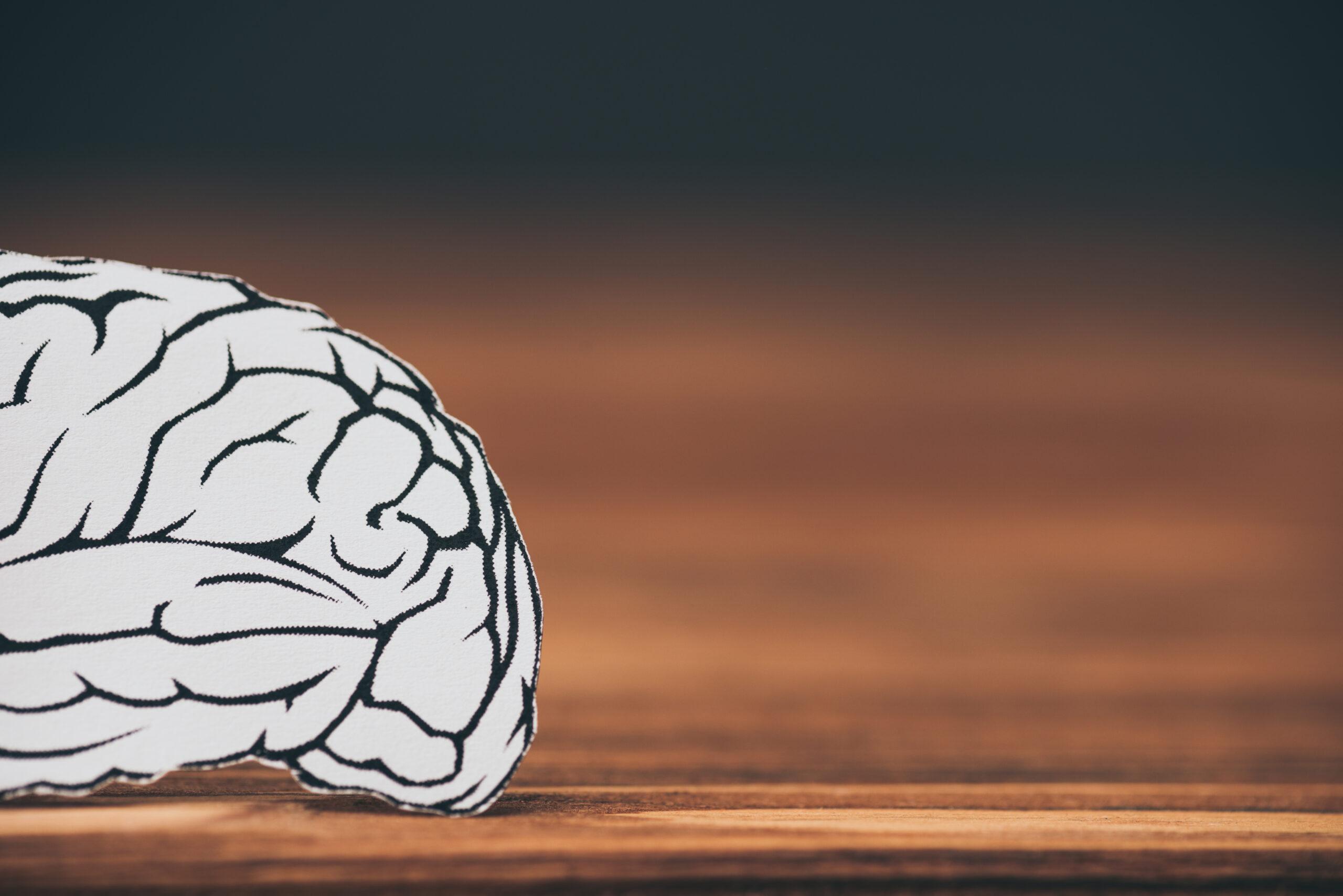 Neuroinflamação