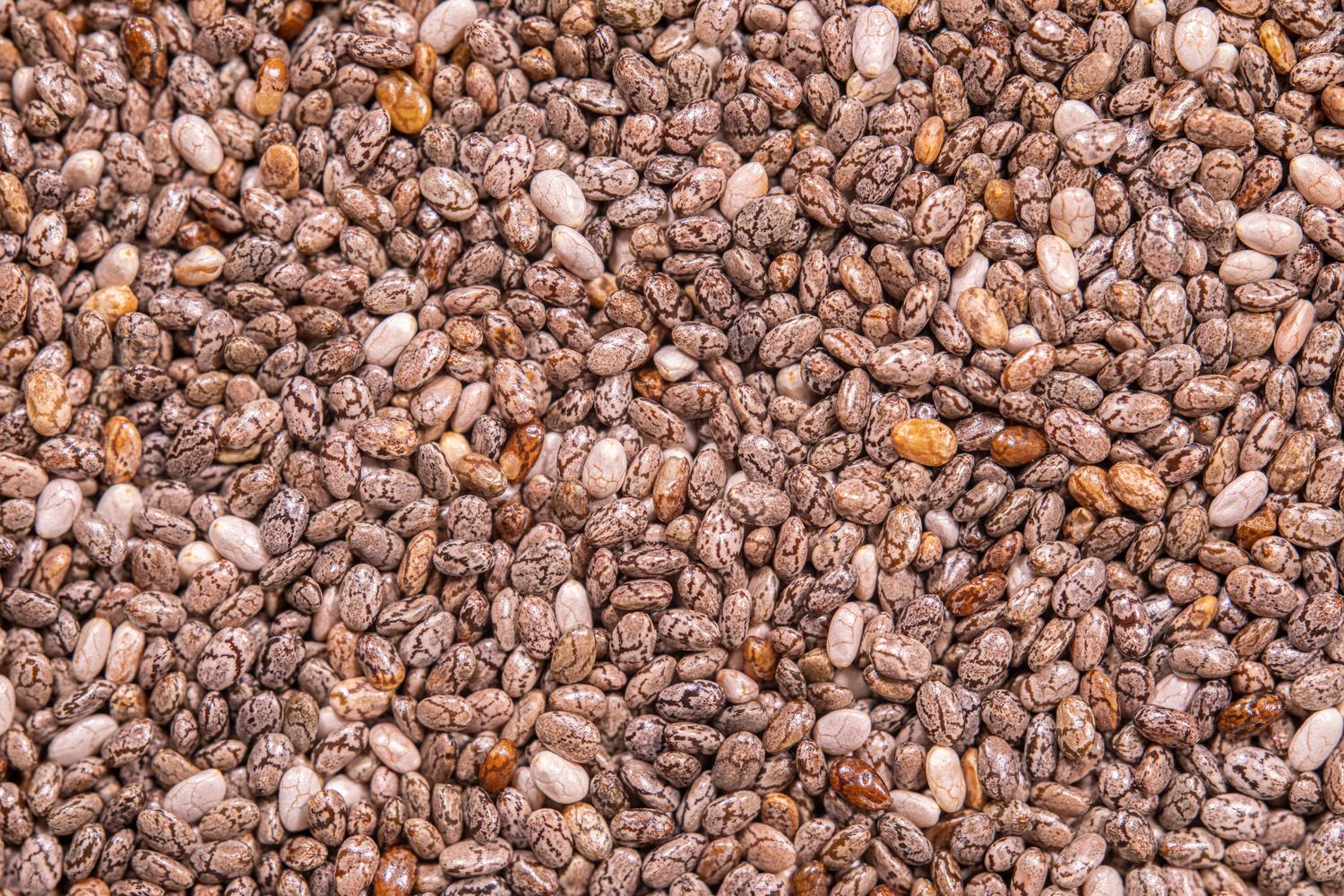 Fotografía macro de alta resolución de judías pinto crudas, mostrando la textura natural de las legumbres secas.