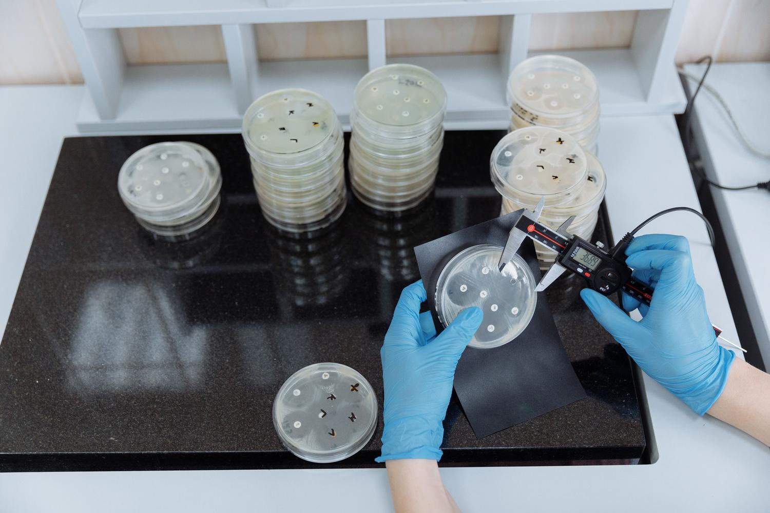 Científico manipulando placas de Petri con cultivos bacterianos en un entorno de laboratorio estéril, representando la investigación en biotecnología.