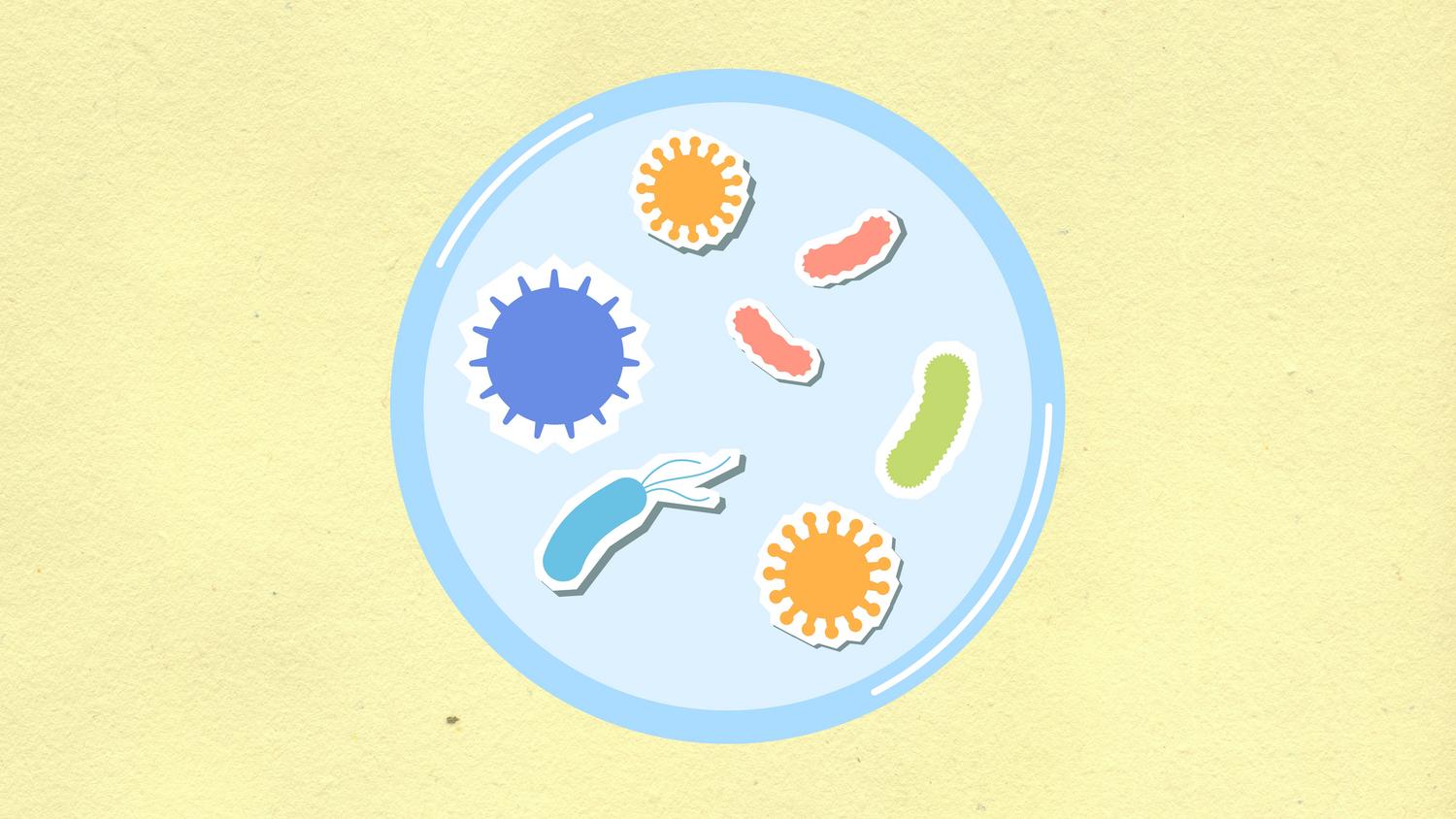 Representación artística en cartulina de una célula rodeada de diversos microbios y virus, ilustrando la inmunidad innata y la respuesta celular.