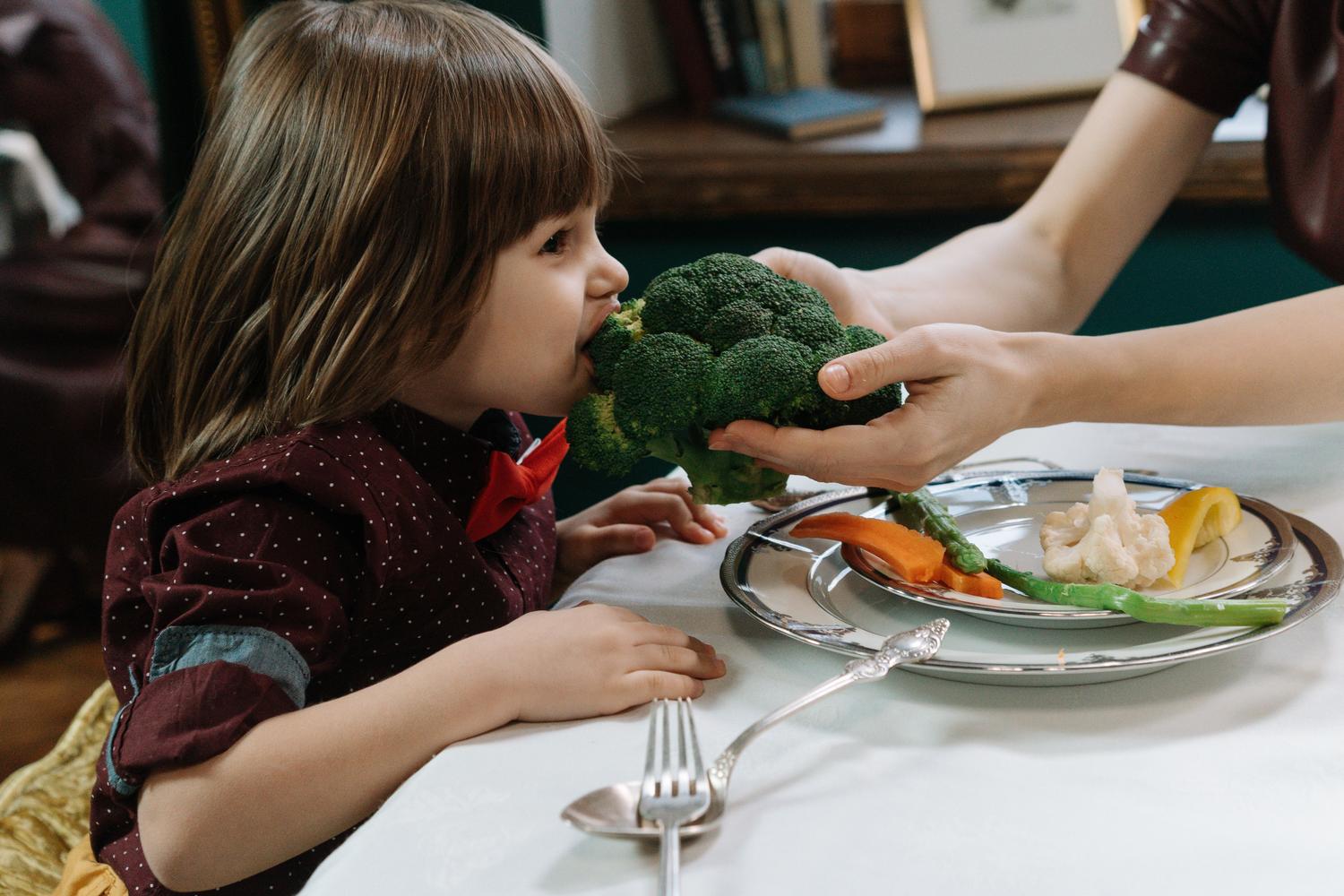 Niño pequeño comiendo brócoli, fomentando el consumo de verduras y hábitos alimenticios saludables desde la infancia.